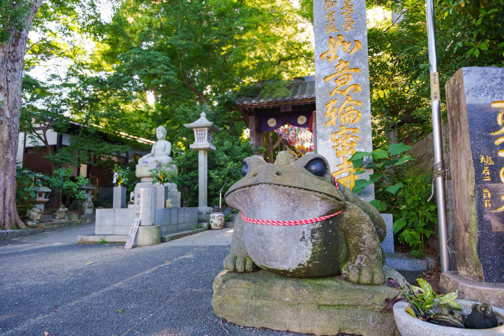 Nyoirinji Frog Temple